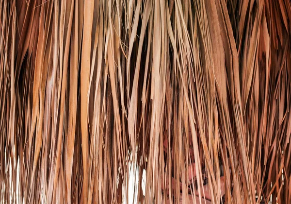 Secco vecchie foglie di palma, sfondo texture, sfondo naturale — Foto Stock