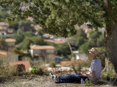 Dizüstü bilgisayarı olan bir adam şehrin bulanık arka planında bir ağacın altında oturuyor.