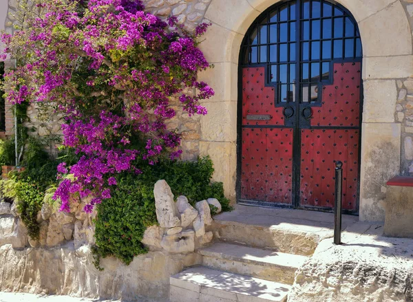Un arbusto de buganvilla púrpura está creciendo cerca de un edificio con puertas rojas de metal . — Foto de Stock