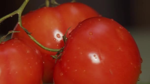 Frische Reife Tomaten Auf Dem Grünen Zweig Nahaufnahme — Stockvideo