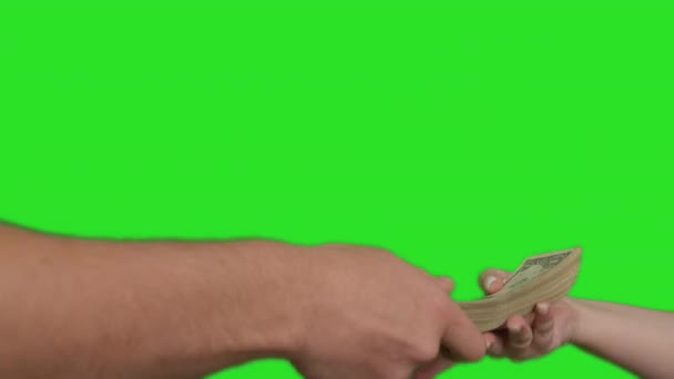 Eine Männliche Hand Reicht Einer Weiblichen Hand Ein Großes Bündel — Stockvideo