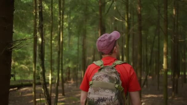 バックパックとキャップを持つ男性観光客が森のパス、リアビュー、カメラの動きに沿って歩いています。 — ストック動画