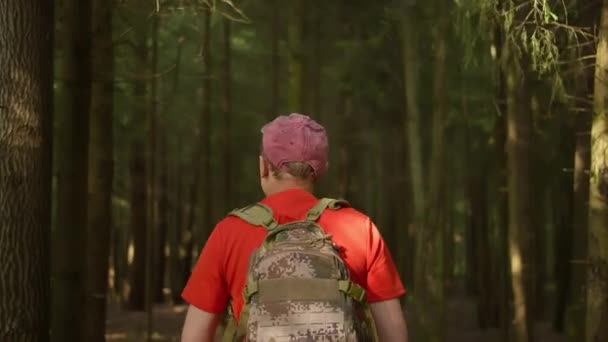 Mannelijke toerist met rugzak en pet loopt langs bospad, achteraanzicht, camerabeweging — Stockvideo
