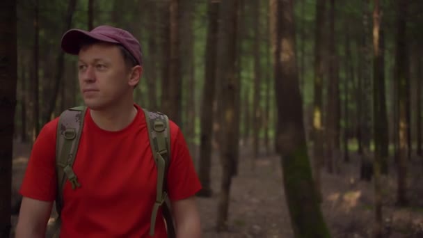 Путешественник Рюкзаком Кепке Потерялся Темном Лесу Движение Камеры — стоковое видео