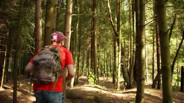 Turista Com Uma Mochila Está Procura Sinal Rede Celular Floresta — Vídeo de Stock