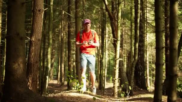 Sırt çantalı bir turist kayboldu ve ormanda bir cep telefonu şebekesi sinyali arıyor. — Stok video