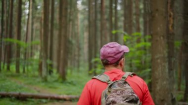 Erkek turist ormanda yürür ve bir şişeden su içmek için durur, kamerayı takip eder.