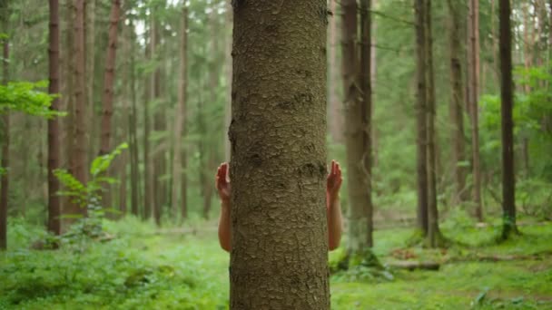 Człowiek Silnymi Dłońmi Przytula Pień Drzewa Ochrona Środowiska Jedność Naturą — Wideo stockowe