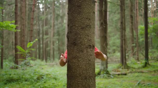 Mann Mit Starken Händen Umarmt Baumstamm Naturschutz Umweltschutz Einheit Mit — Stockvideo