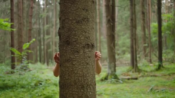 L'uomo con le mani abbraccia un tronco d'albero, unità con la natura, protezione dell'ambiente — Video Stock