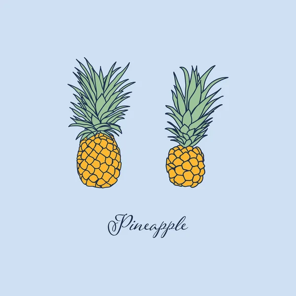 热带菠萝孤立对象图片设计夏季葡萄酒系列 — 图库矢量图片