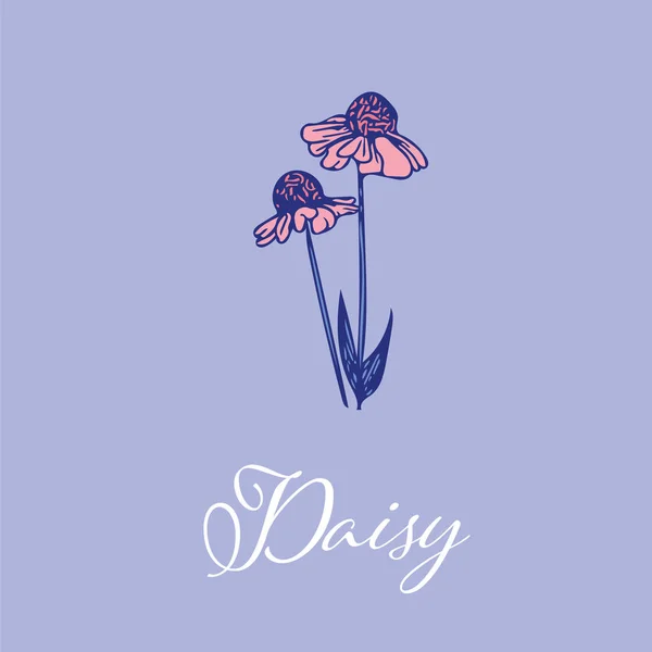 Wild Daisy flower design isolated object