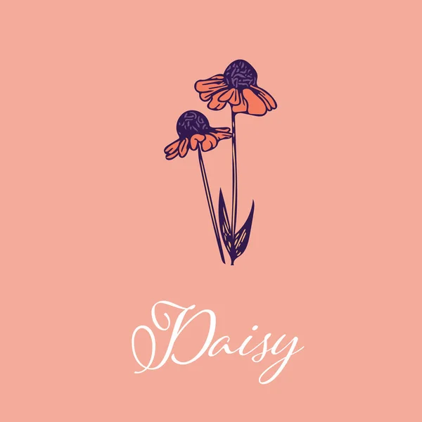 Wild Daisy flower design isolated object