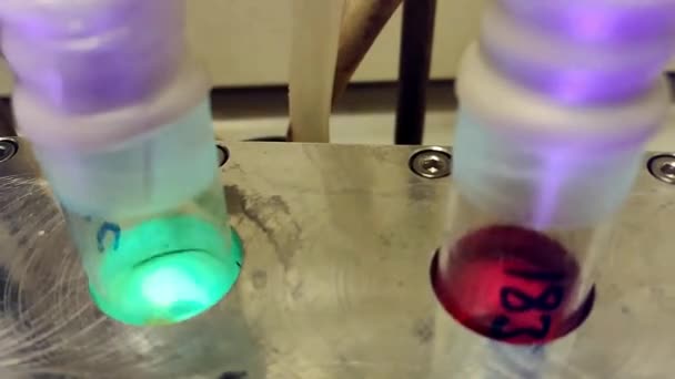 Acercar la reacción fotoquímica en un laboratorio de química — Vídeos de Stock