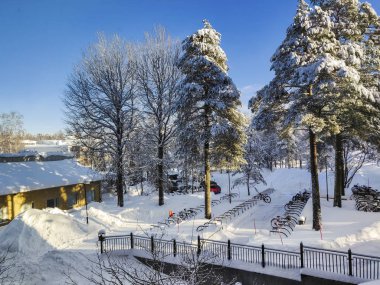 Güneş sarı binada çam ağacı ile yüklenen sn
