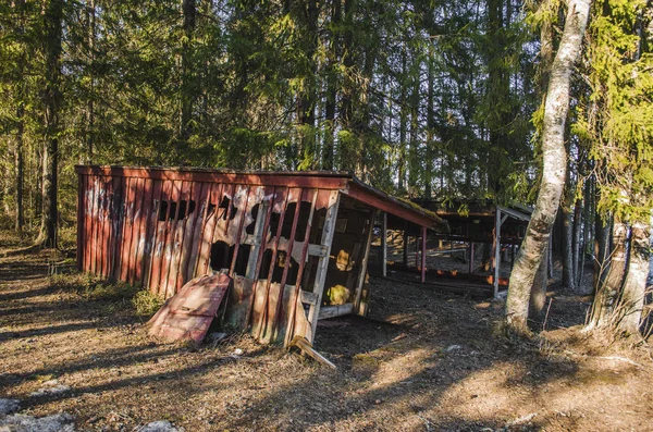 Old haunted creepy desserted damaged hut in a jungle landscape p