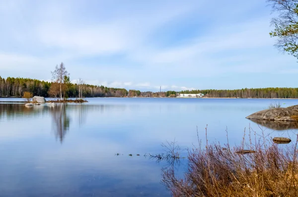 Çam ile çevrili temiz su gölü uzun pozlama fotoğraf — Stok fotoğraf