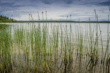 Su yansıması ve cl ile Holmon adasında Çarpıcı manzara