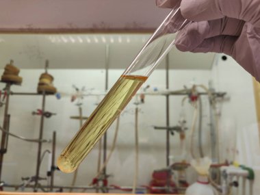 Avrupalı bilim adamı kristallere bakıyor ve dikkatlice analiz ediyor.