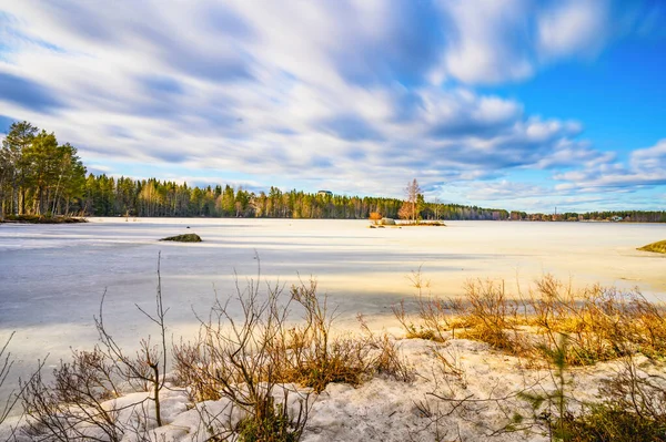 Sveç Kuzeyindeki Bir Ülkede Gündüz Vakti Çam Ağacıyla Çevrili Donmuş — Stok fotoğraf
