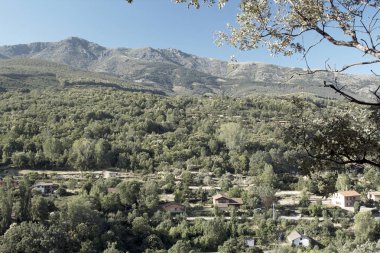 Bir vadinin manzarası