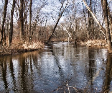 Ormanda kıvırarak akışı 
