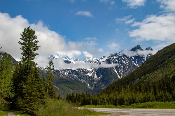 Güzel Rocky Dağları. Rogers geçmek, Bc, dinlenme alanı