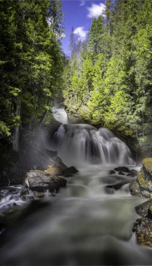 Uzun pozlama şelale, kayalar, orman, güneş ışığı
