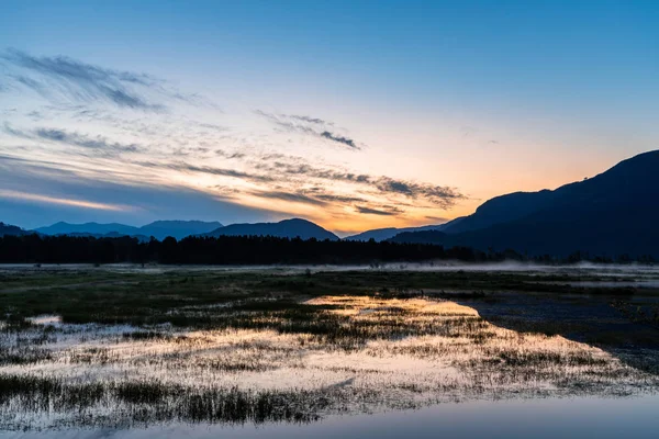 Beautiful Summer Sunrise Marshland — Stock Photo, Image