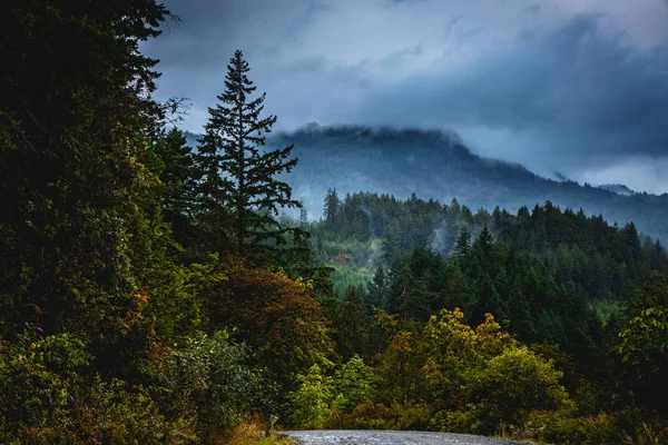 Gewitterwolken Ziehen Frühen Morgen Wald Über Die Berge — Stockfoto