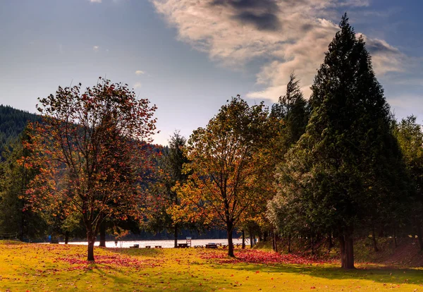 Bellissimi Colori Autunnali Sugli Alberi Riva Lago — Foto Stock