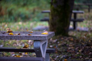 Yapraklar sonbaharın başında piknik masasına düşer