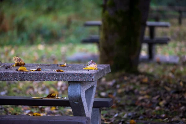 Yapraklar sonbaharın başında piknik masasına düşer