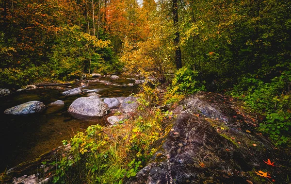 Piękne Kolory Jesieni Wzdłuż Strumienia — Zdjęcie stockowe