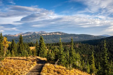 Ekim 'de Cascade Mountain Manning Park' tan görüntü