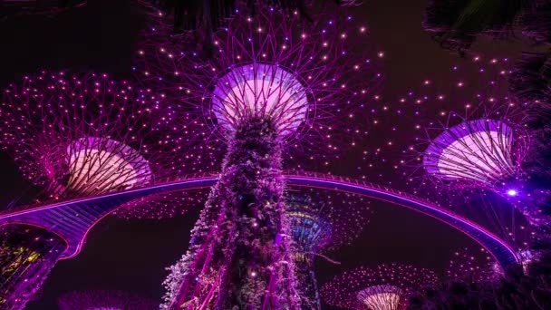 Espectáculo Luz Singapurense Jardines Junto Bahía — Vídeo de stock