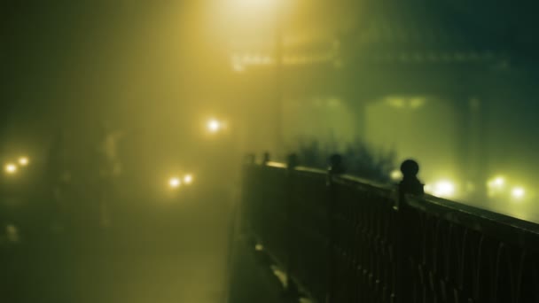夫妇走在浓雾中 — 图库视频影像