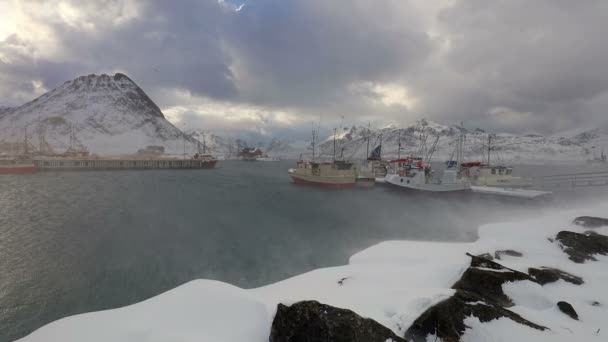 Blizzard Nad Rybářský Přístav Norsku — Stock video