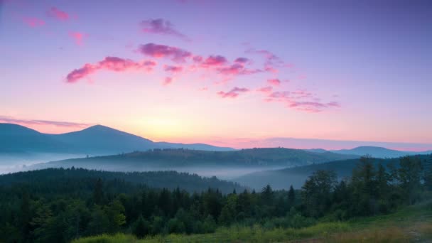 山谷中明亮的日出和雾 — 图库视频影像