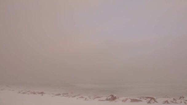 Kış Norveç Değişen Hava — Stok video