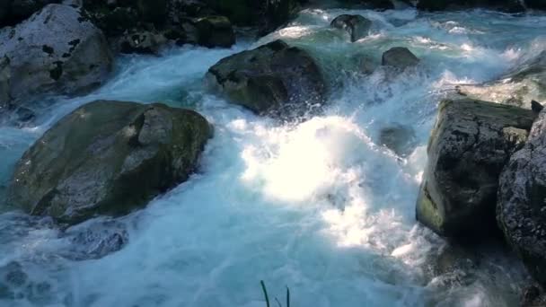 Гірський Ліс Річка Промінь Сонця — стокове відео