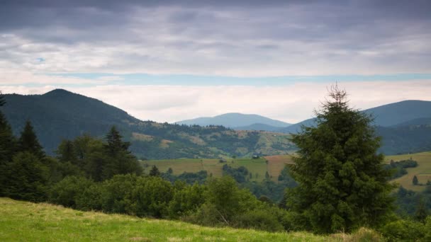 Multi Layered Clouds Forested Mountains — Stock Video