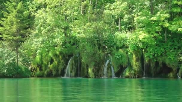 Plitvice Lago Cascadas Forestales — Vídeos de Stock