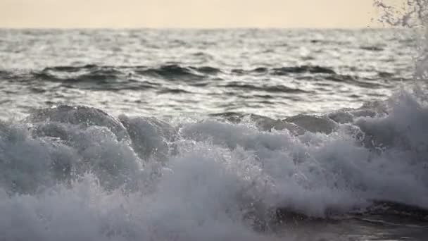 Onda Surf Pôr Sol — Vídeo de Stock