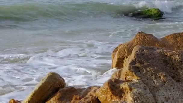 Серфинг Каменистом Берегу — стоковое видео