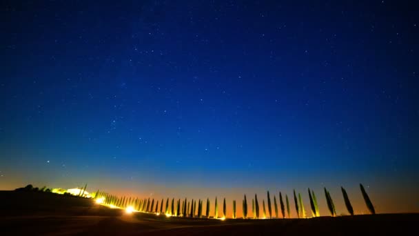 Céu Estrelado Sobre Beco Cipreste — Vídeo de Stock