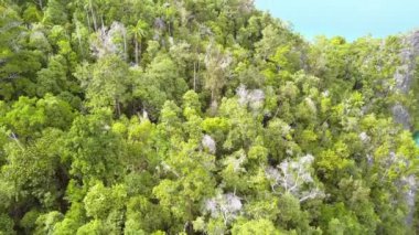 tropik bir adada kalkış