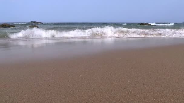 Surfe na praia arenosa — Vídeo de Stock