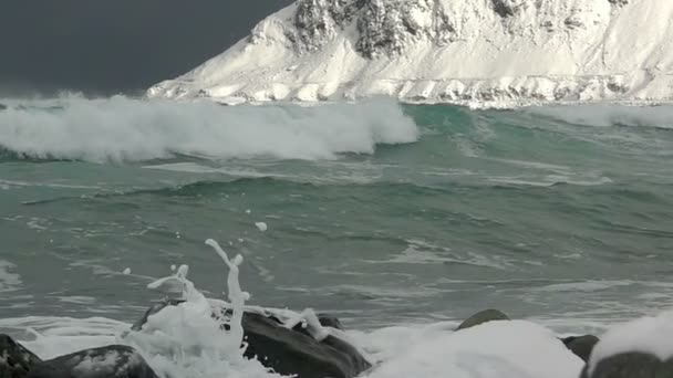 Surf Wave Winter Gulf — Stock Video