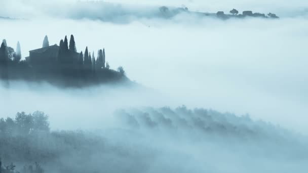 Nebbia Fitta Toscana — Video Stock